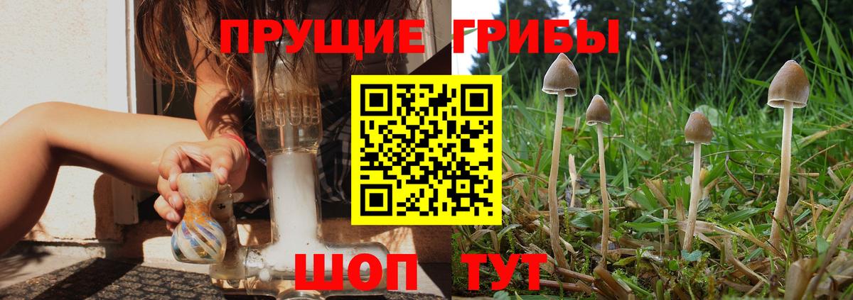 Псилоцибиновые грибы MAGIC MUSHROOMS Раменское