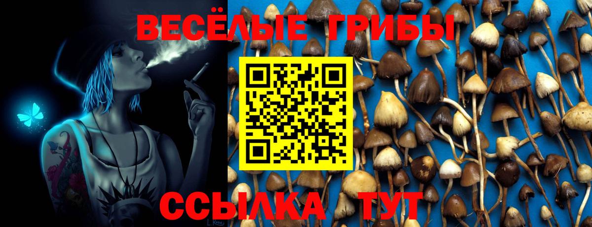 наркотики  Псилоцибиновые грибы Psilocybe  Раменское  Вход с VPN  Псилоцибиновые грибы прущие грибы 